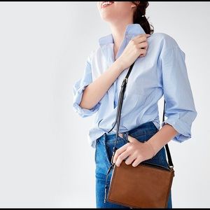 Fossil Campbell - Brown